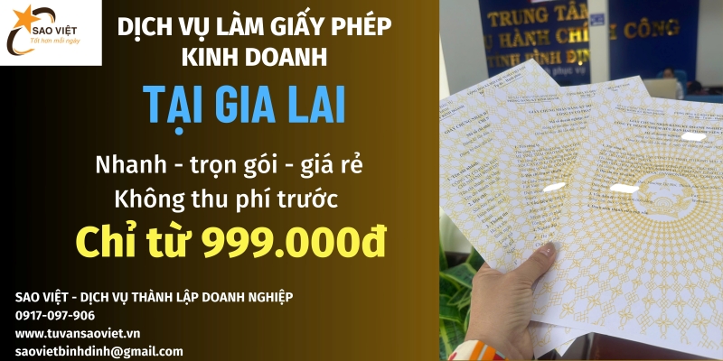 Hướng dẫn hồ sơ thành lập công ty TNHH hai thành viên tại Gia Lai